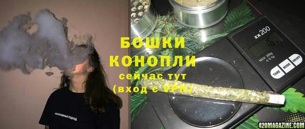 твердый Дмитров