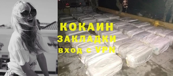 твердый Дмитров