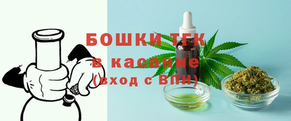 твердый Дмитров