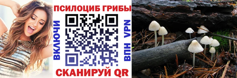 Псилоцибиновые грибы Psilocybine cubensis  Яблоновский 